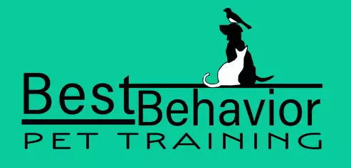 Best Behavior Pet Training, Vero Beach, Florida