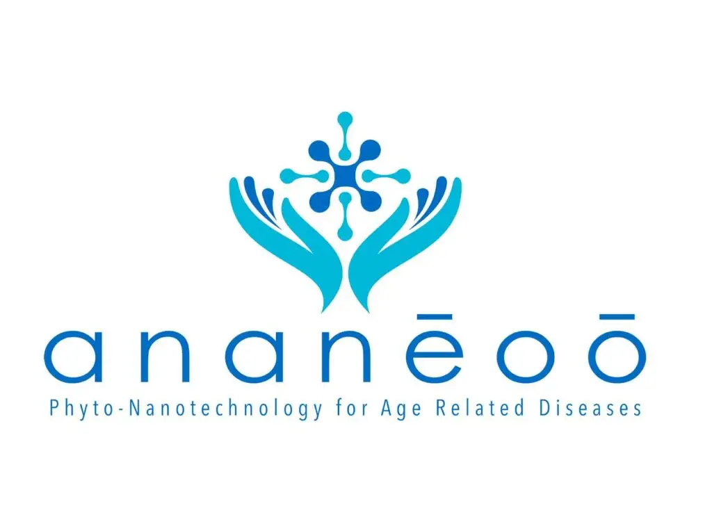 Ananeoo logo